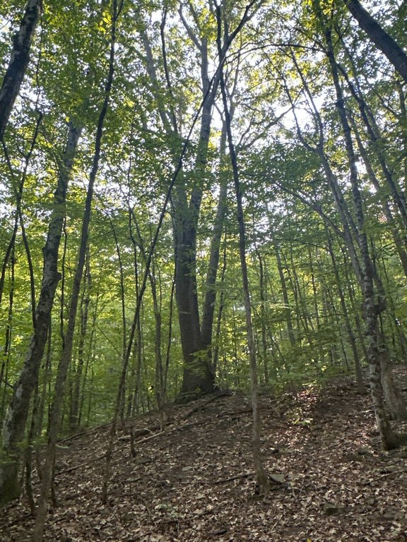 Picture 4