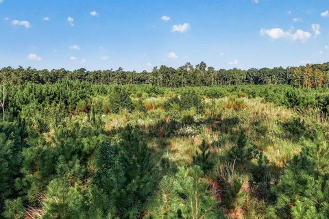 LAND, Georgetown, SC