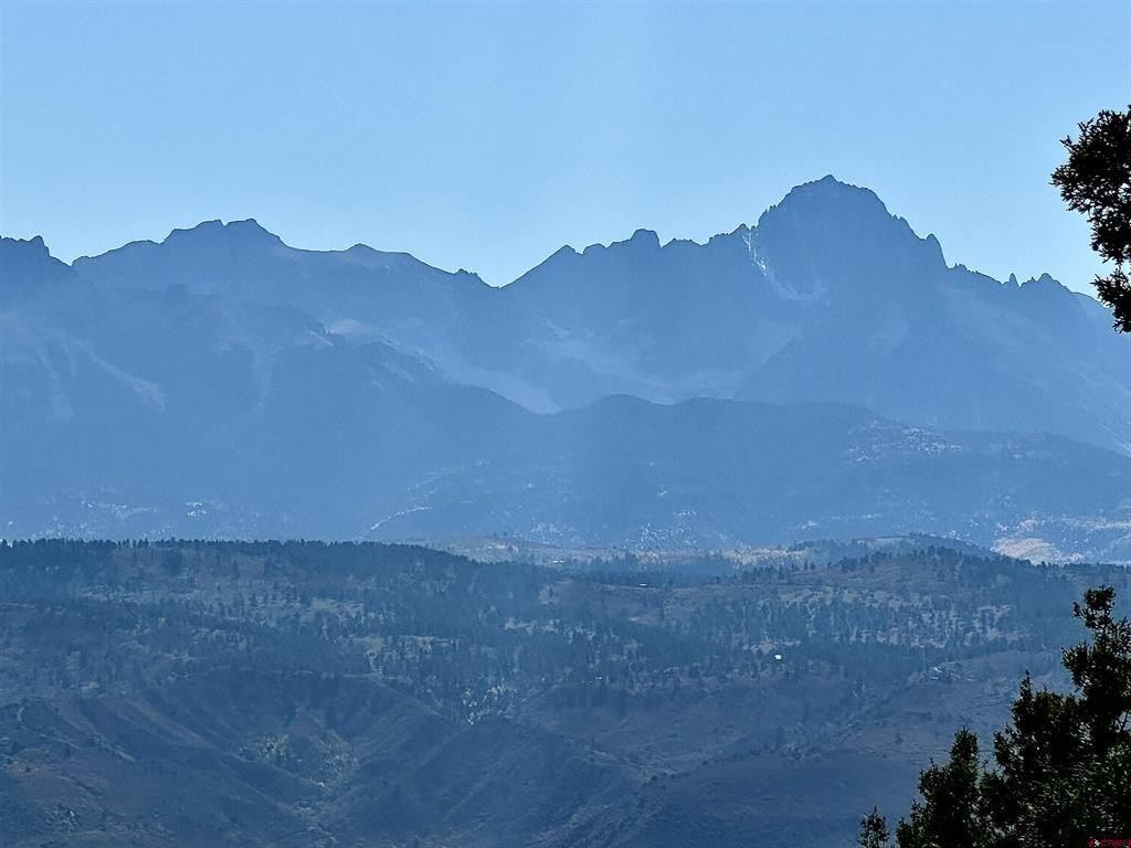 Picture 25