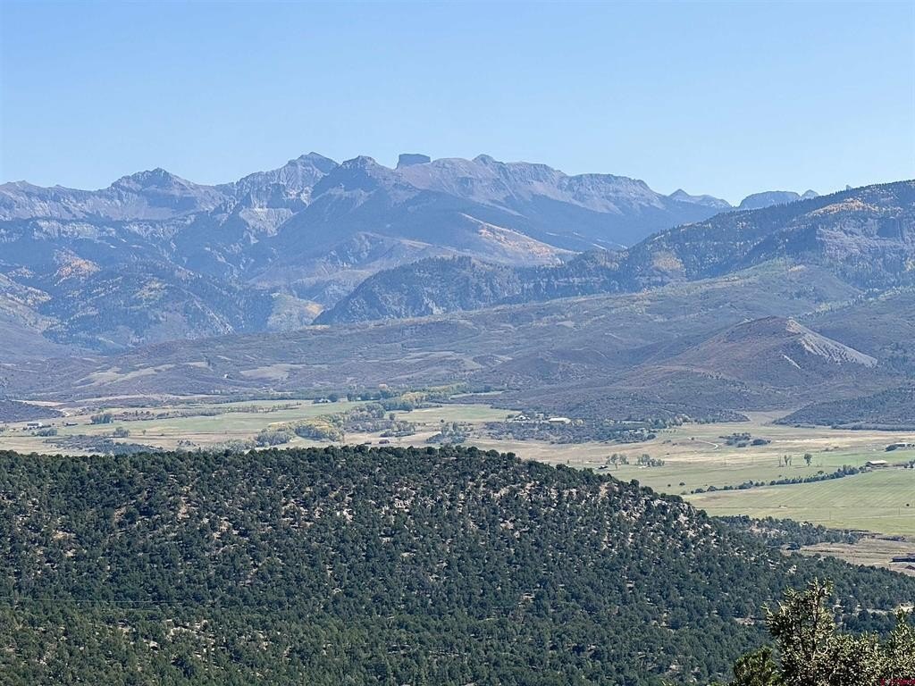 Picture 21