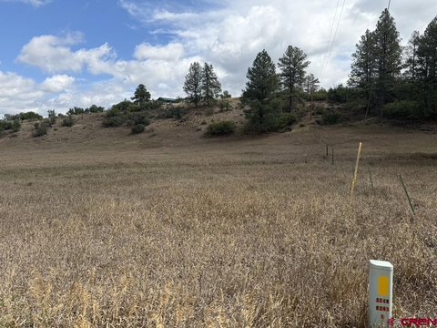 LAND, Pagosa Springs, CO