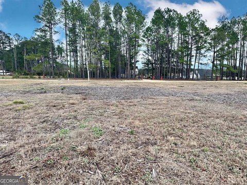 LAND - Blackshear, GA