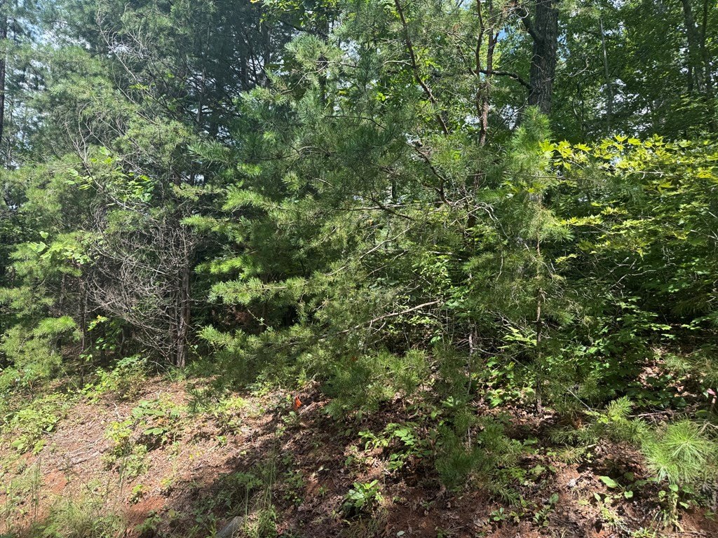 Picture 21