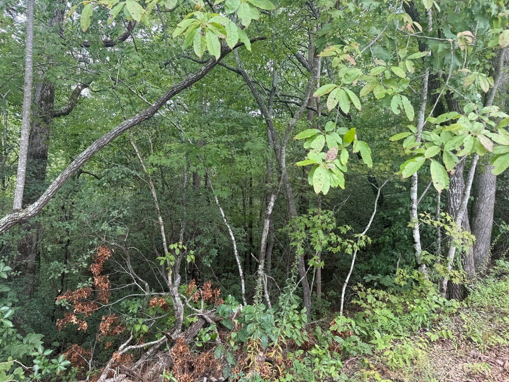 Picture 17