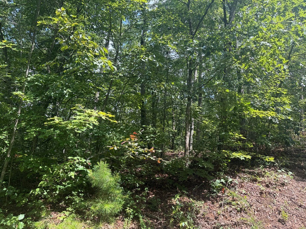 Picture 19