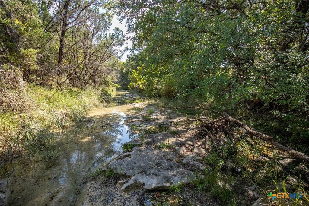 Picture 22
