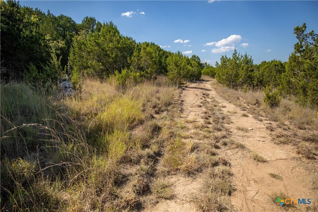 Picture 27