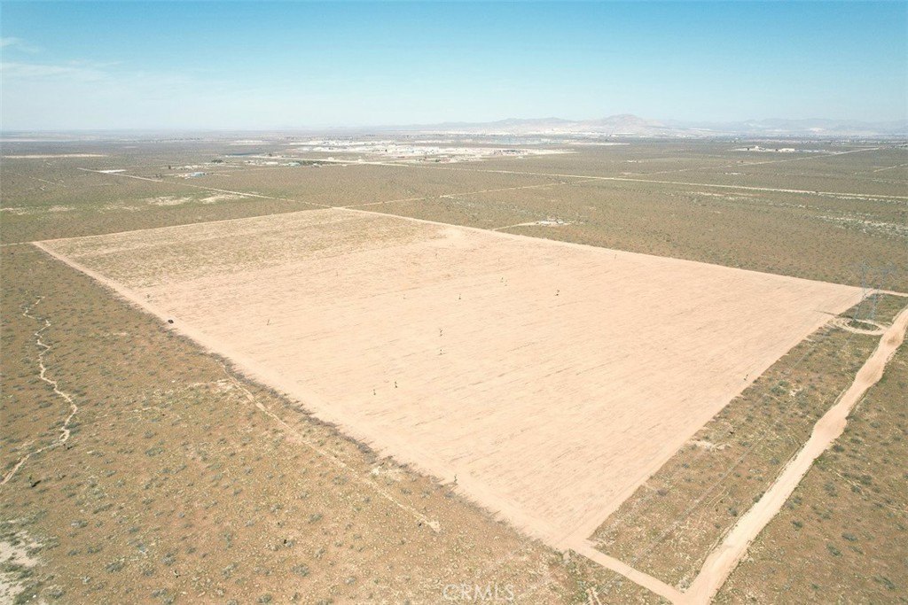 Picture 10