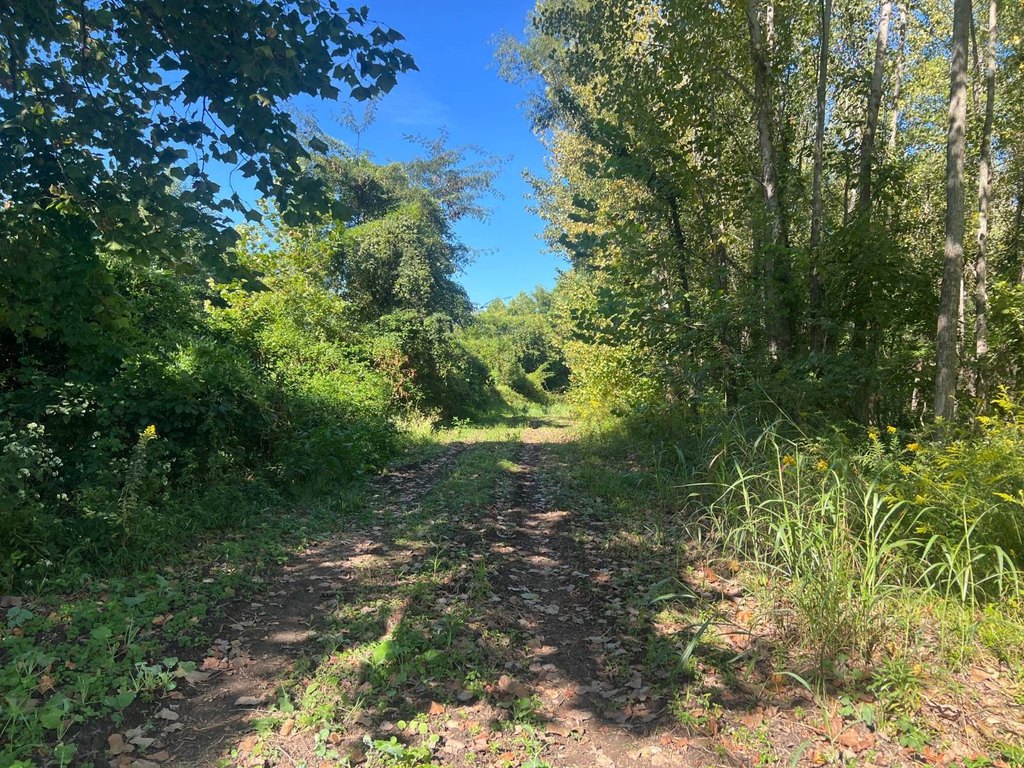 Picture 20