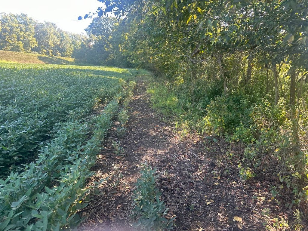 Picture 33
