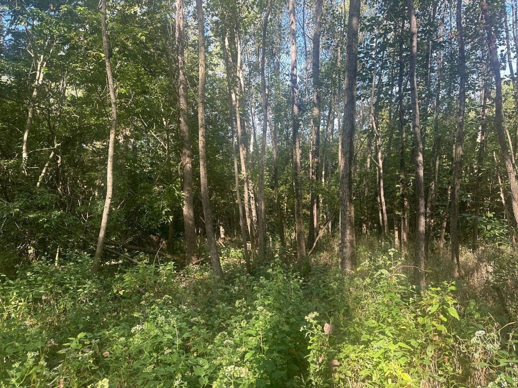 Picture 30