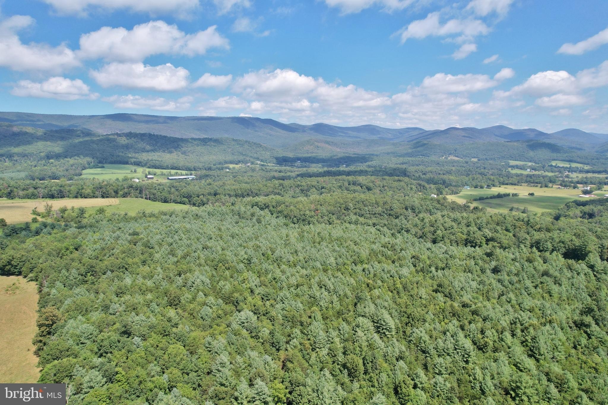 33 Acres Wooded Lot