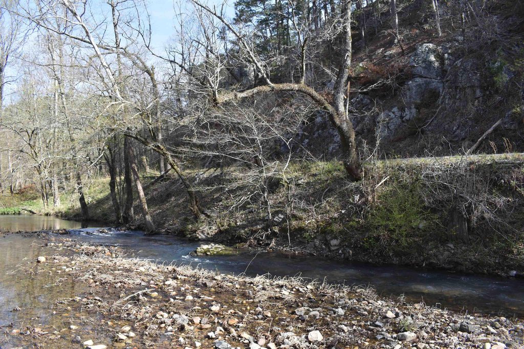 Picture 23