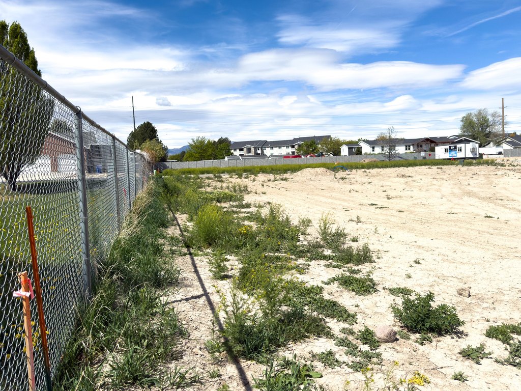 Picture 4