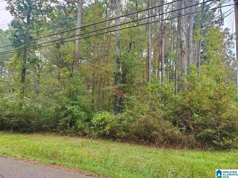 LAND - BESSEMER, AL