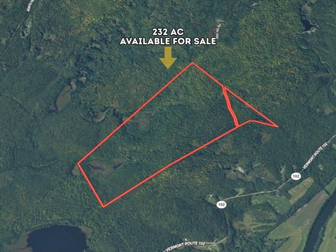 LAND - Maidstone, VT