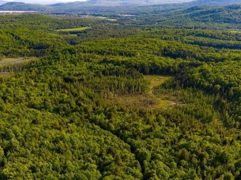 LAND - Maidstone, VT