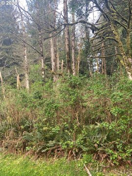 Land, LincolnCity, OR