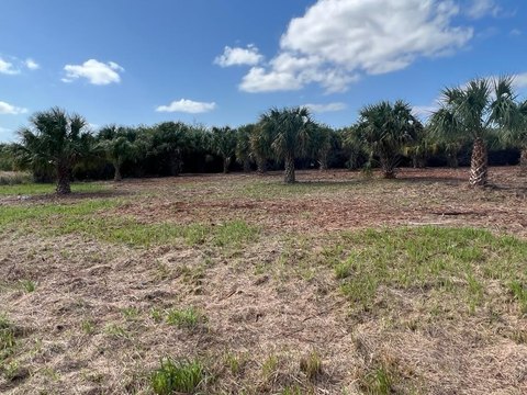 LAND - Palm Bay, FL