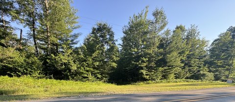 Heavily Wooded Hunting Land
