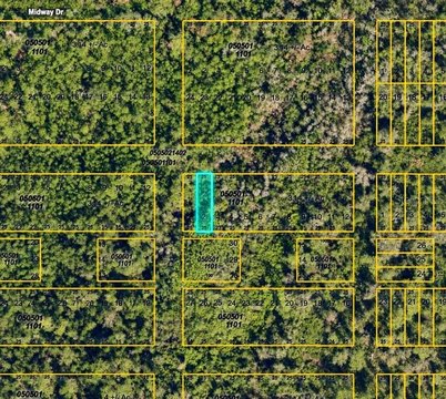 Land, MYAKKA CITY, FL