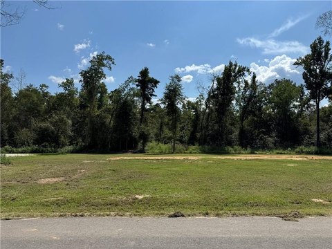 Land, Springfield, LA