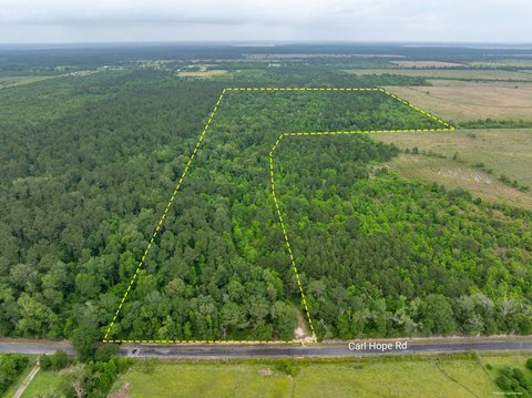 Wooded Hunting Land Tract