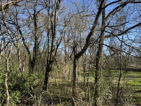 Land, Gun Barrel City, TX