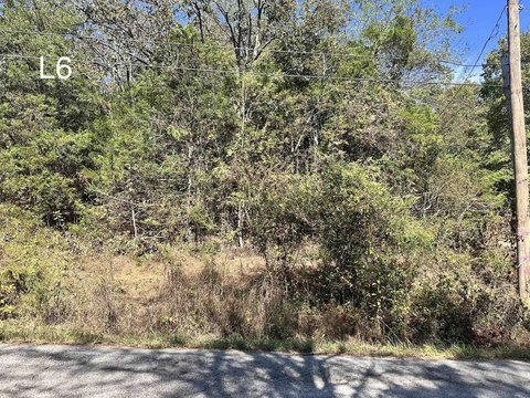 Vacant Land, Cherokee Village, AR