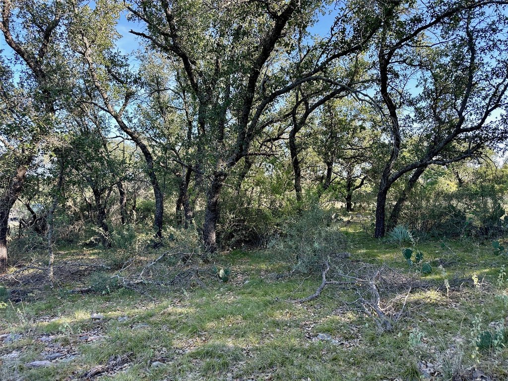 Picture 15