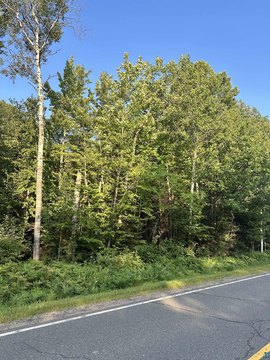 Building Lot in Maple School District