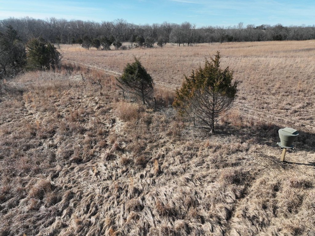 Picture 43