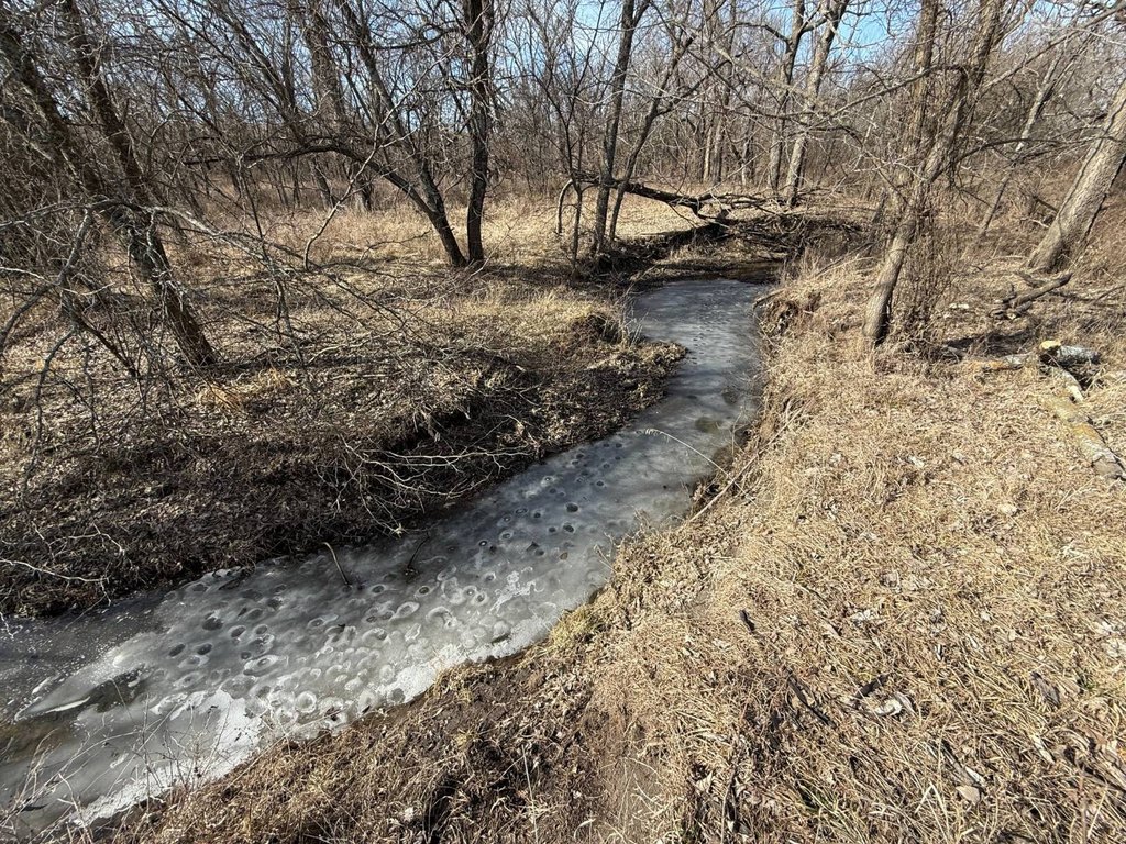 Picture 52