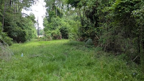 Sparks, GA Vacant Lot