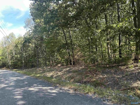 Land, Fort Payne, AL