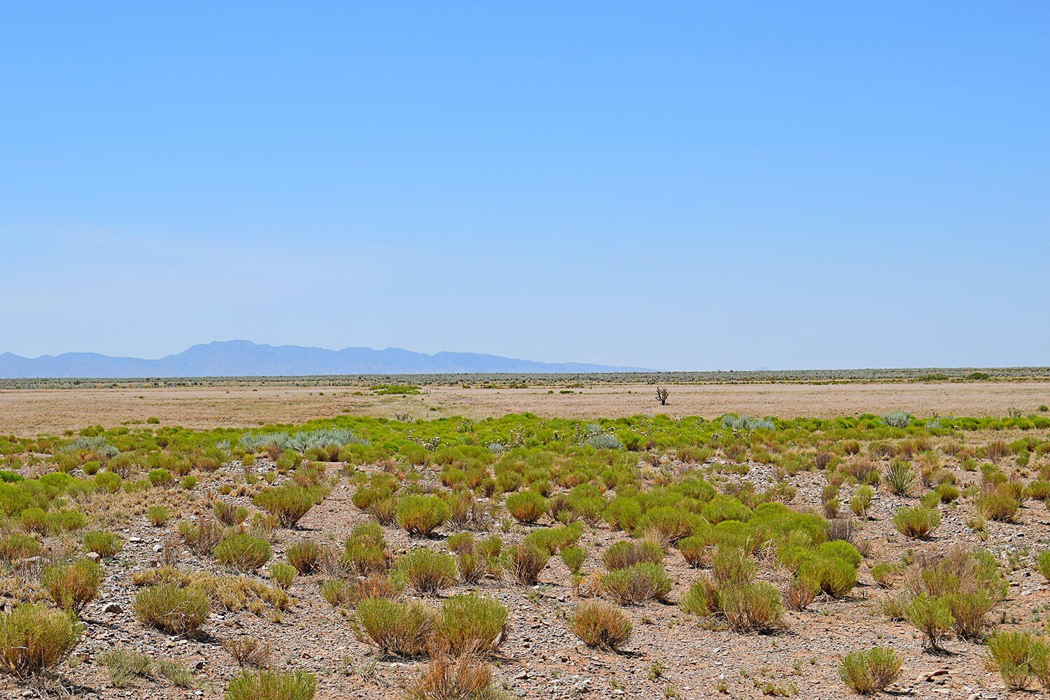 Land with Scenic Views