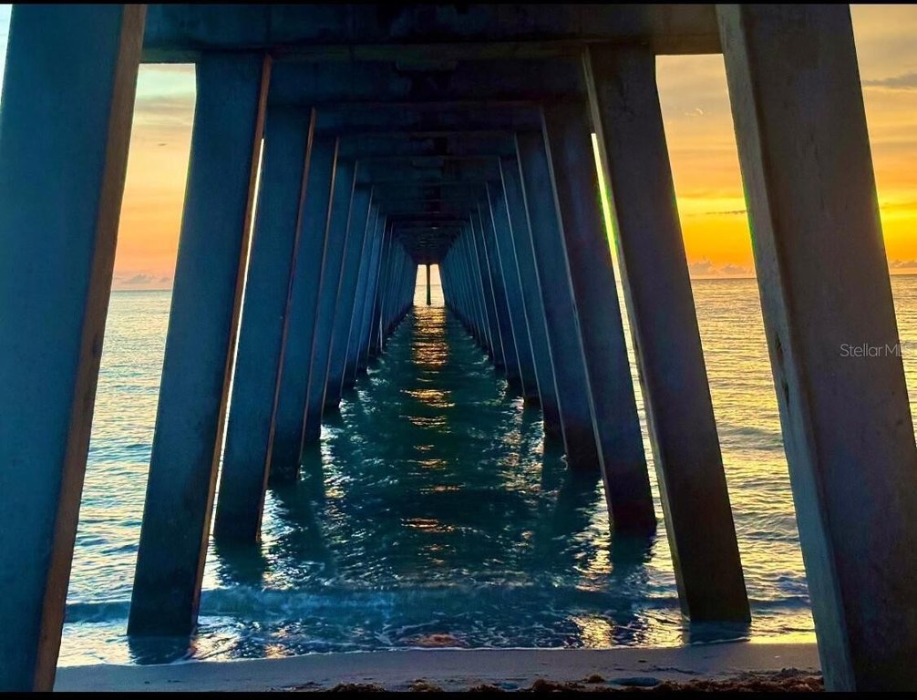 Picture 20
