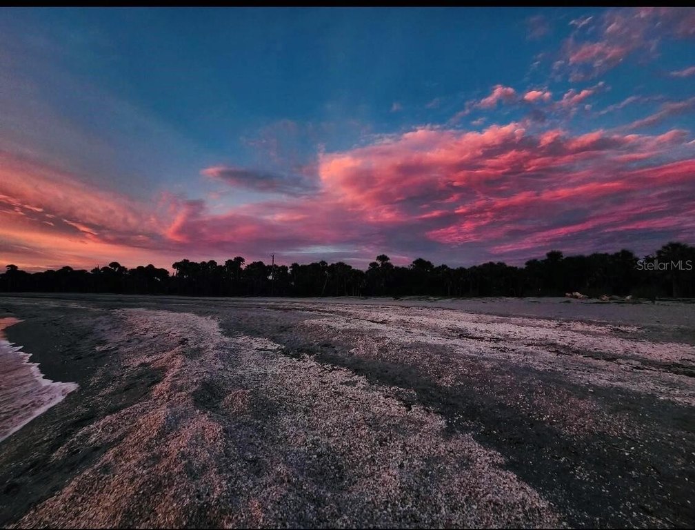 Picture 26
