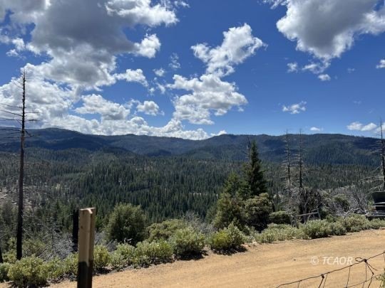 Land with Cabin in Hayfork