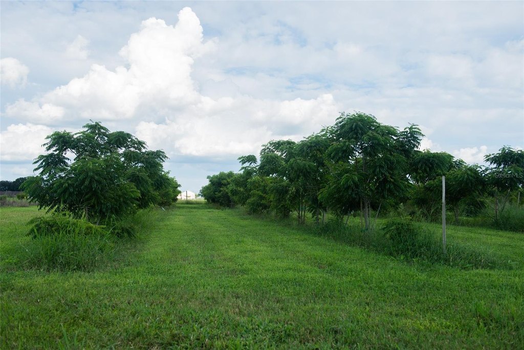 Picture 17