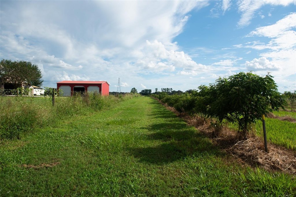 Picture 22