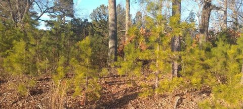 Acworth Commercial Land For Sale