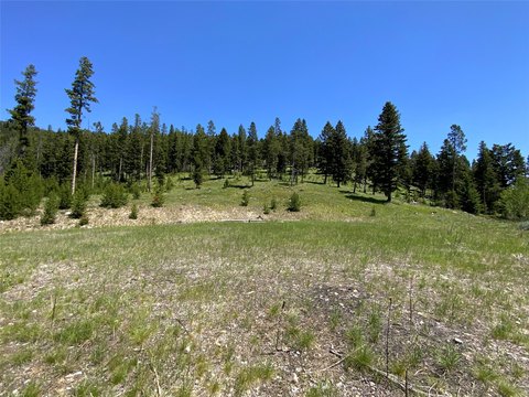 Land Near Georgetown Lake