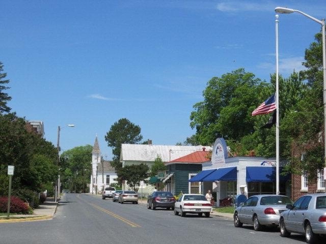 Picture 11