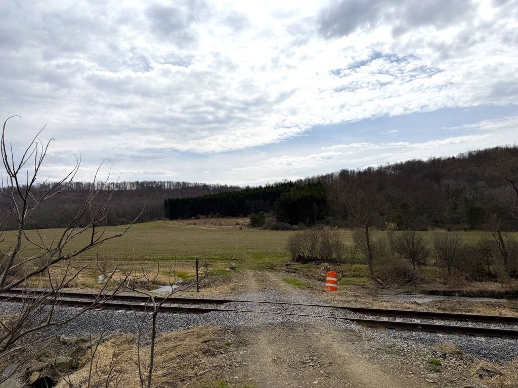 Picture 5
