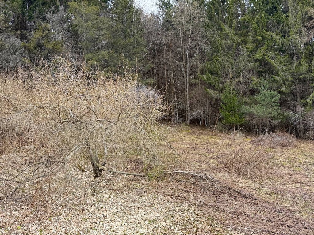 Picture 37