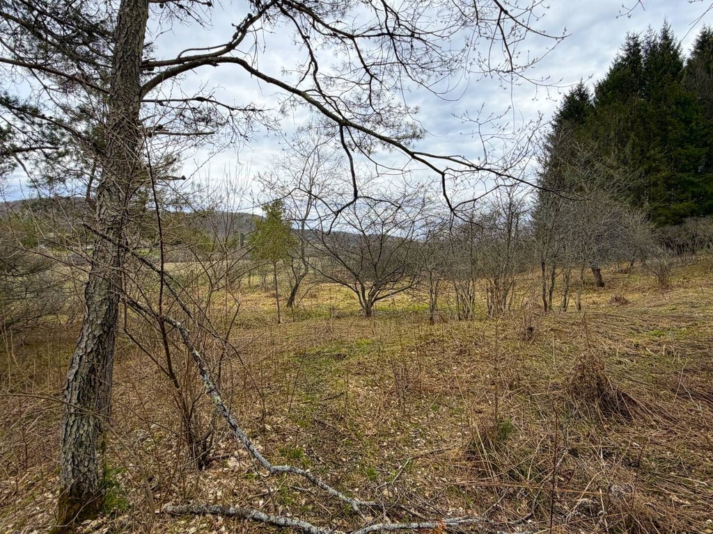 Picture 17