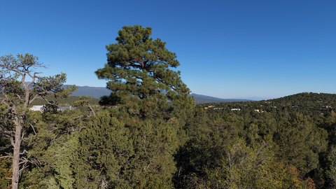 Land, Tijeras, NM