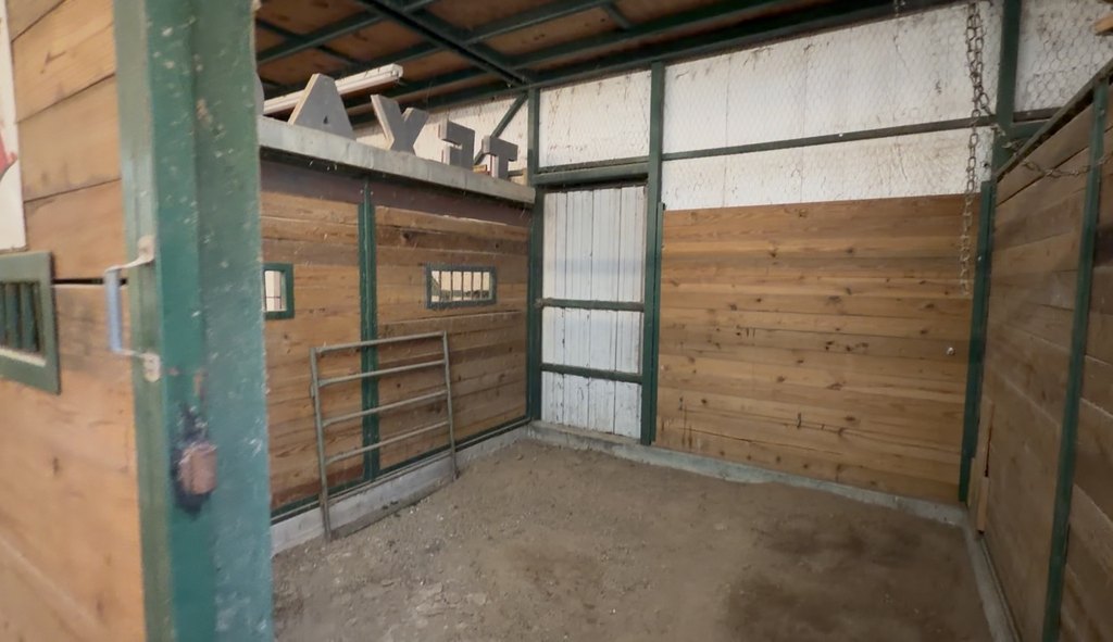 Picture 6