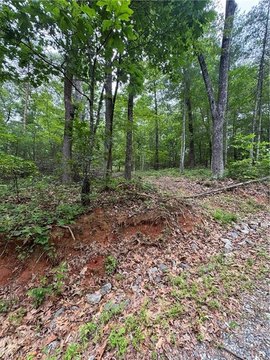 Wooded Land in Nimblewill Creek